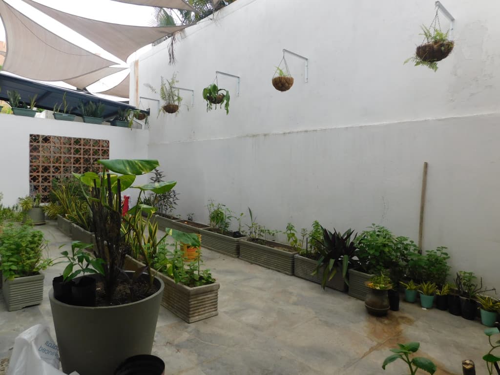 Imagen https://s3-us-west-2.amazonaws.com/pictures.domus.la/inmobiliaria_59/93031_6_1758229609.jpg
