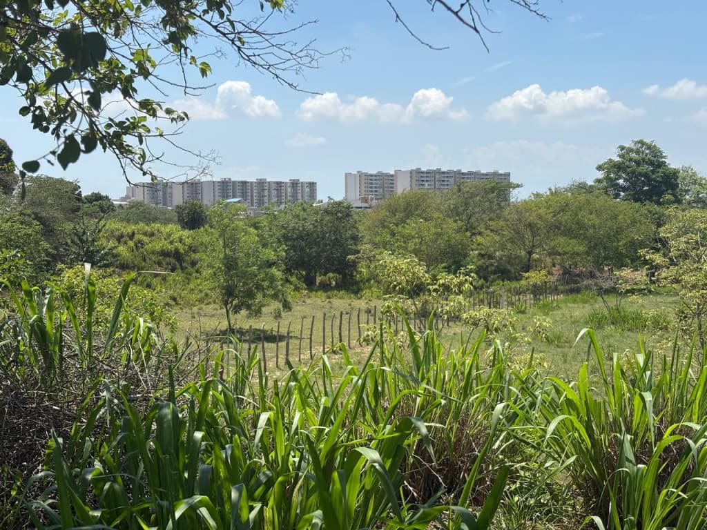Imagen https://s3-us-west-2.amazonaws.com/pictures.domus.la/inmobiliaria_59/93078_2_1785770955.jpg