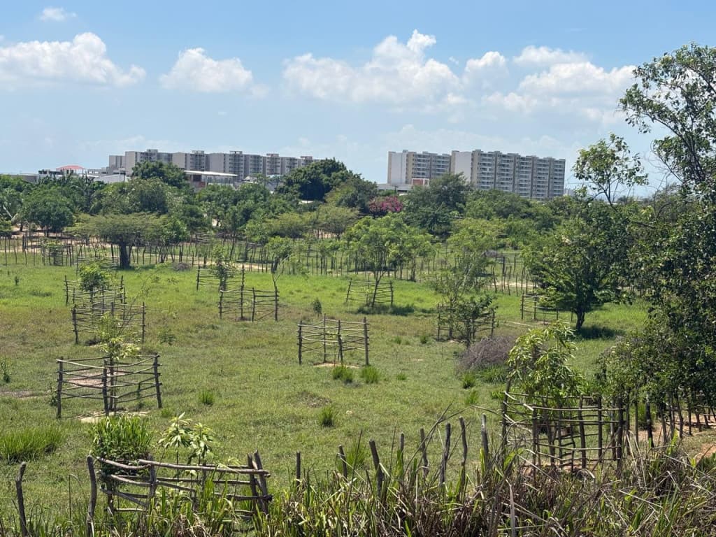 Imagen https://s3-us-west-2.amazonaws.com/pictures.domus.la/inmobiliaria_59/93078_3_1785770955.jpg
