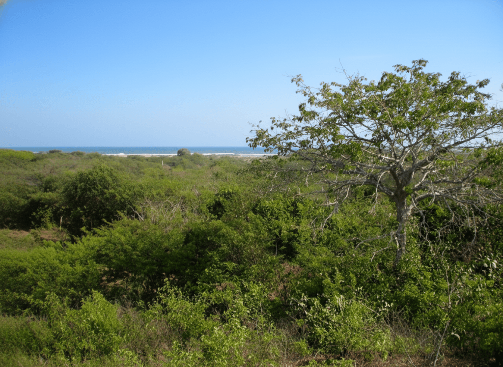 Lote en Arroyo grande