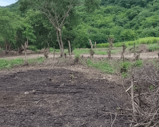 Lote en Arroyo de piedra