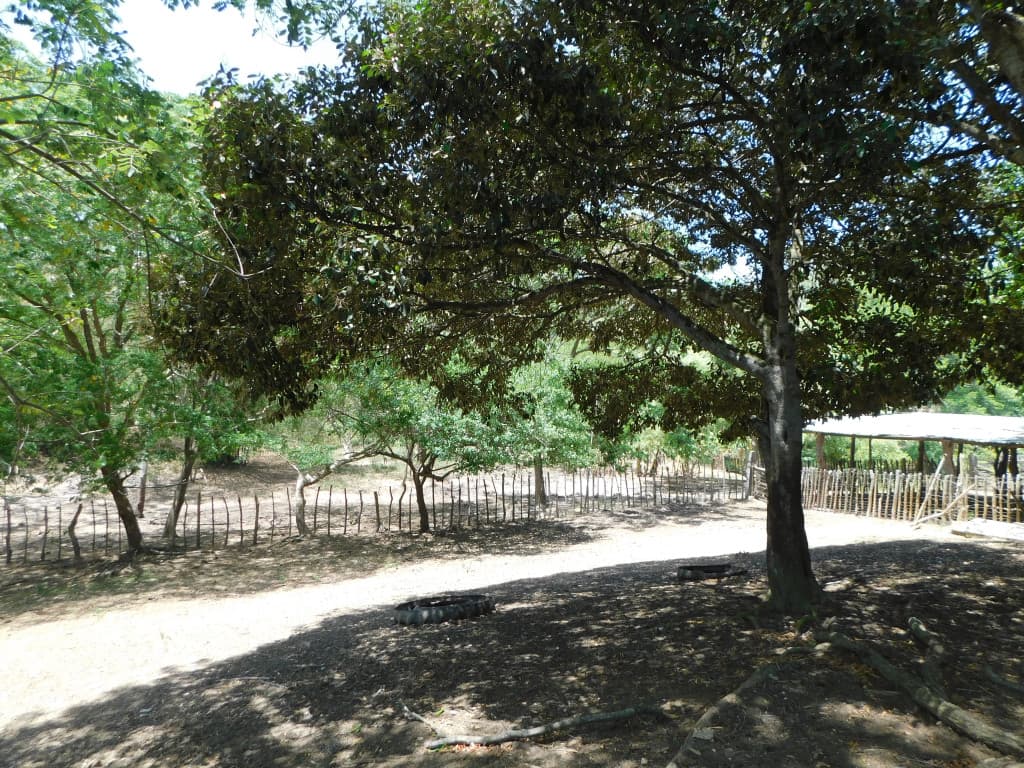 Imagen https://s3-us-west-2.amazonaws.com/pictures.domus.la/inmobiliaria_59/94845_8_1784664875.jpg